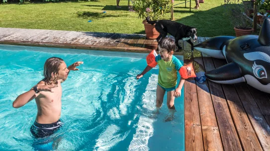 Homes with a swimming pool